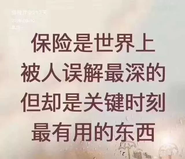 保险师-保险投资