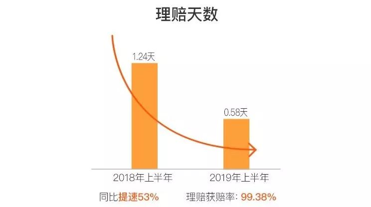 保险理赔报告-保险理赔天数